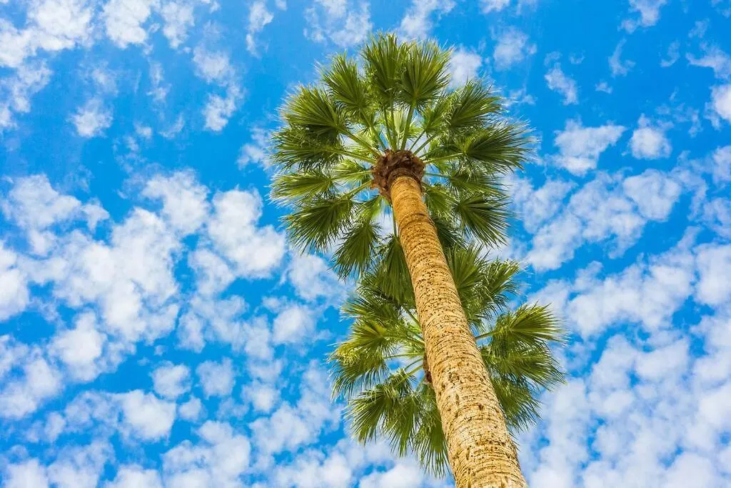 Large Studio Rooftop & Poolside - Walk To Old Town Scottsdale Apartment